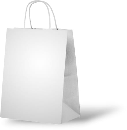 Papieren Tasjes Kraft - Zilver - Medium - 24x12x31 cm - 50 Stuks