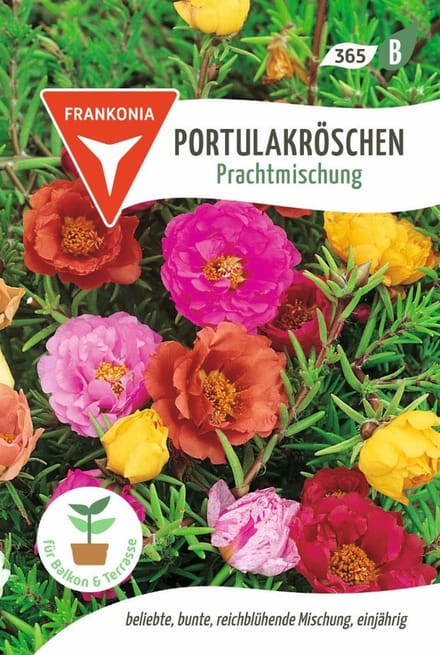 Portulaca, Prachtige Mix - Bestverkochte bloemzaden