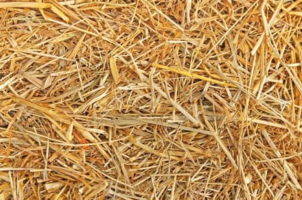 Eckhardt Stro 2,5 kilo (75 liter)