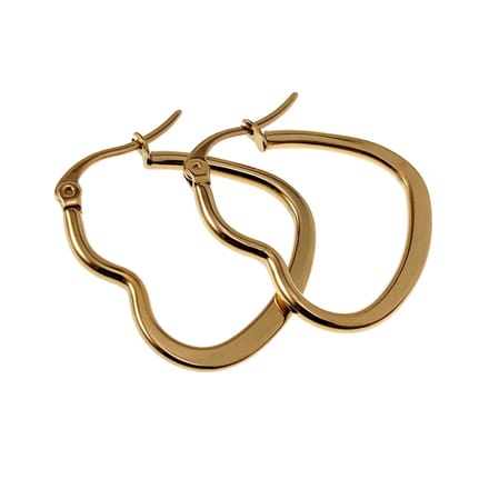 ∅25mm Oorbellen Dames - Verguld RVS - Hart Oorringen