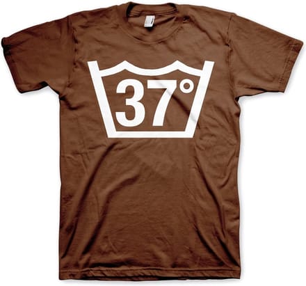 Hybris 37 Celcius Tee T-shirt bruin