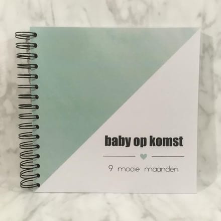 Studijoke - baby op komst - invulboek