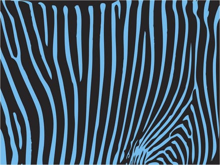 Fotobehang - Zebra pattern (turkoois).