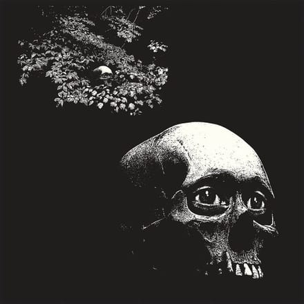 Thee Oh Sees - A Foul Form (CD)