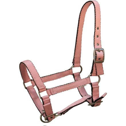 Halster voor paarden York Tobi