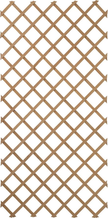 Treillis extensible en bois 100 x 200 cm Nature