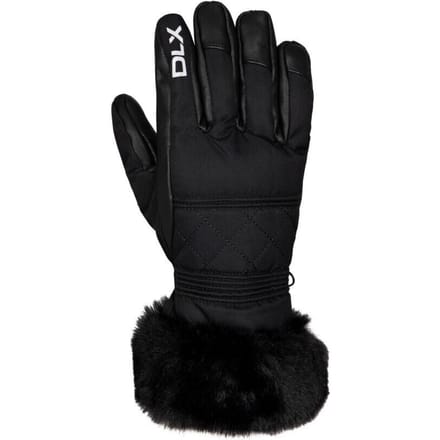 Trespass Dames/Dames Dirin Leren Skihandschoenen (Zwart)