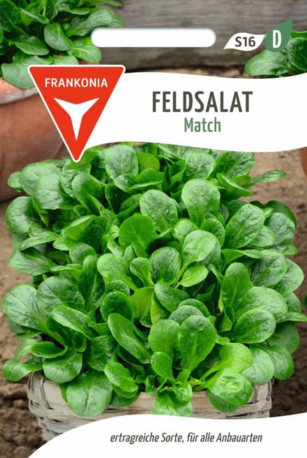 Veldsla, Matcha - Groentezaden, slazaden, zaden