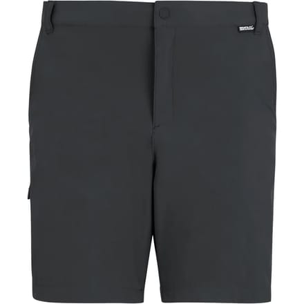 Regatta Anti-insect Travel Light Korte Broek Grijs 33 Man