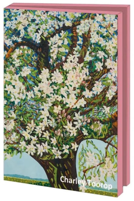 Kaartenmapje 10 stuks met env – Charley Toorop, Museum More