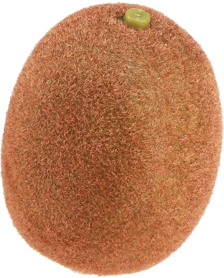Kiwi kunstmatig realistisch decoratief fruit 7,5 cm