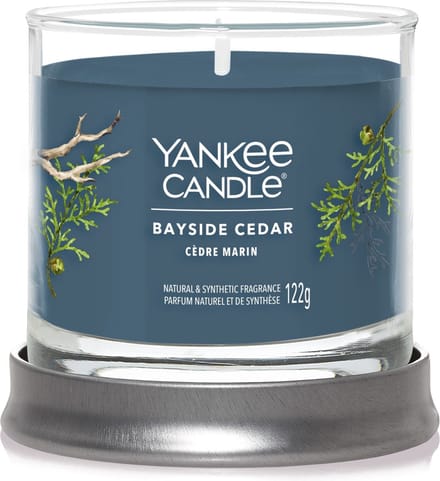 YC Bayside Cedar Signature Small Tumbler