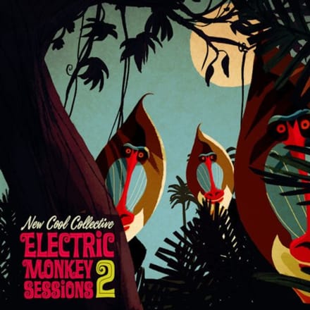 Electric Monkey Sessions 2 - New Cool Collective