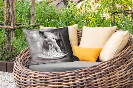 Buitenkussens - Tuin - Varken - Schattig - Spaghetti - Zwart wit - Dier - 50x30 cm