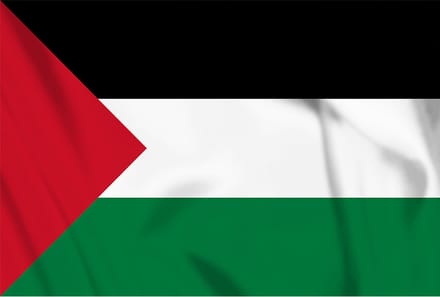 palestijnse vlag