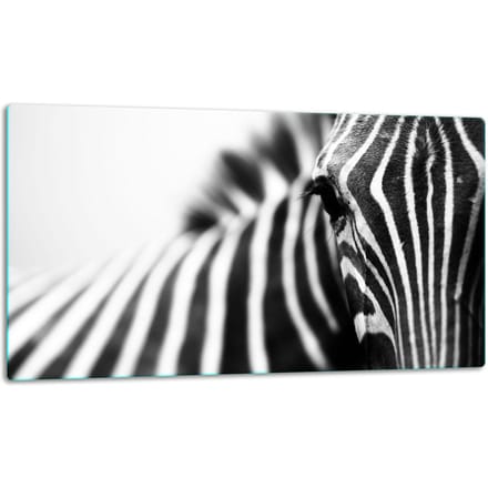 TMK ArtDeko - Snijplank - Glas - 52x30 cm - Zebra