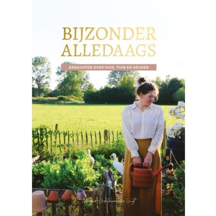 Bijzonder Alledaags - Mirjam Ordelman-Van Vugt