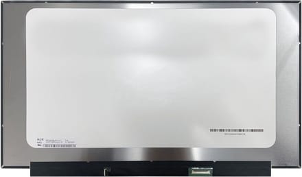 Acer Predator PH315-54 LCD scherm 15,6" (360Hz)