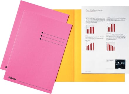 Vouwmap Esselte A4 180gr Roze: omdoos van 4 x 100 stuks