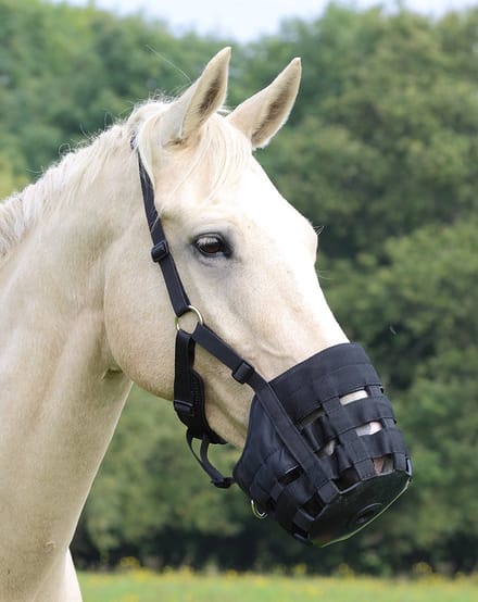 Paard muilkorven Shires FreeGraze Comfort