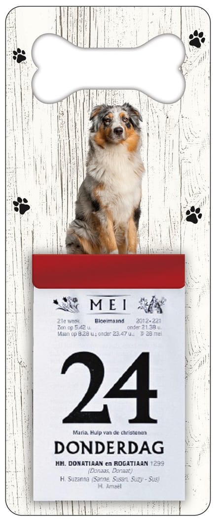 Scheurkalender 2027 Hond: Australian Shepherd Dog