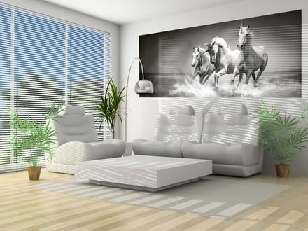 Unicorns Horses Black White Photo Wallcovering