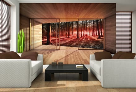 Window Forest Trees Beam Light Nature Photo Wallcovering
