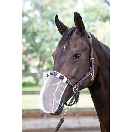 Harry's Horse Neusnetje Harry's Horse Wit - Full