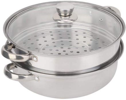Dailygoody - Stalen Stoompan met Glazen Deksel - Dubbele Laag voor Efficiënt Koken