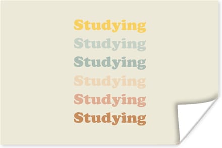 Poster Quotes - Studenten - Studeren - Motivatie - 120x80 cm