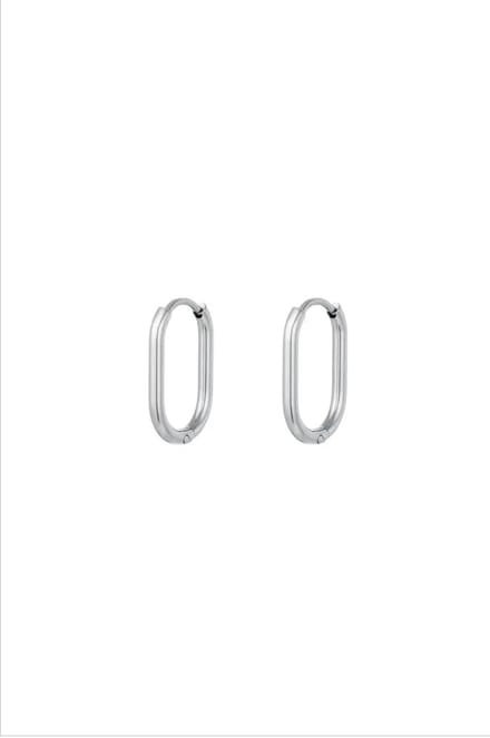 Ovale oorbellen Zilver Stainless Steel