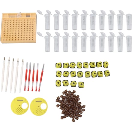 Koninginnenteelt Systeem Plastic Broedcel Cup Kit Bijenteelt Entapparatuur Benodigdheden white