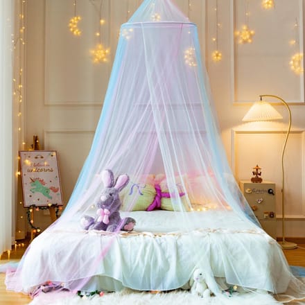 Regenboog bedluifel (Regenboog)