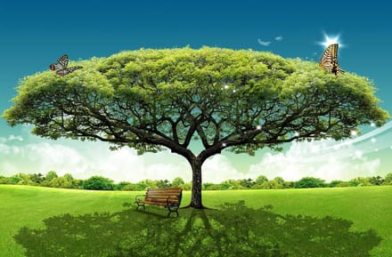 Houten Puzzel - Landschap Puzzel - Ontspanning Thuis - 1000 Stukjes - 75 x 50 cm - Groen