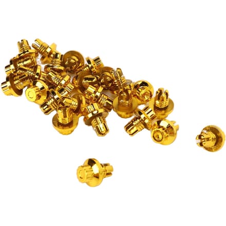 Lot de 25 rivets de jante en ABS doré pour jantes de la série AH DS brown