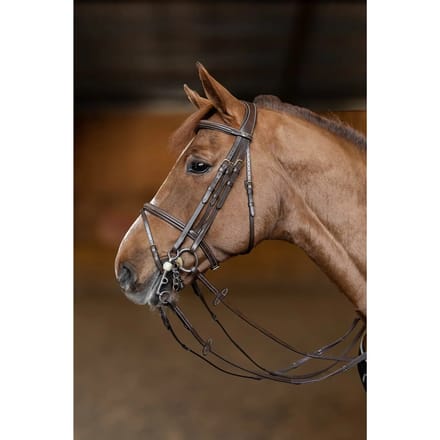 Anatomisch hoofdstel HFI Double Jump