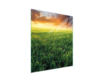 TMK ArtDeko - Snijplank - Glas - 45x52 cm - Decoratief