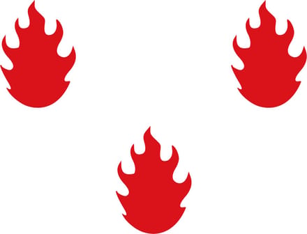 Vlag Saint-Léger 150x225cm
