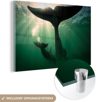 MuchoWow® Glasschilderij 120x80 cm - Schilderij acrylglas - Dolfijn - Water - Blauw - Foto op glas - Schilderijen