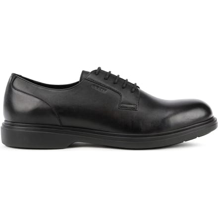 Derbie Geox Ottavio