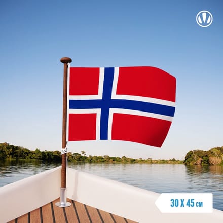 Vlag Noorwegen 30x45cm