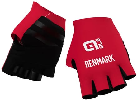 Ale Federazione Danese Handschoenen Rood M