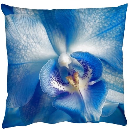 Sierkussens - Kussentjes Woonkamer - 60x60 cm - Blauw - Orchidee - Elegeant