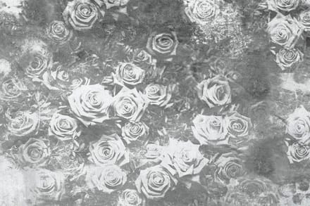 Fotobehang - Roses Abstract II 375x250cm - Vliesbehang