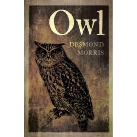 Owl - Desmond Morris