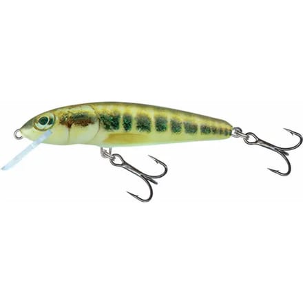 Lure Salmo Minnow SNK 5g