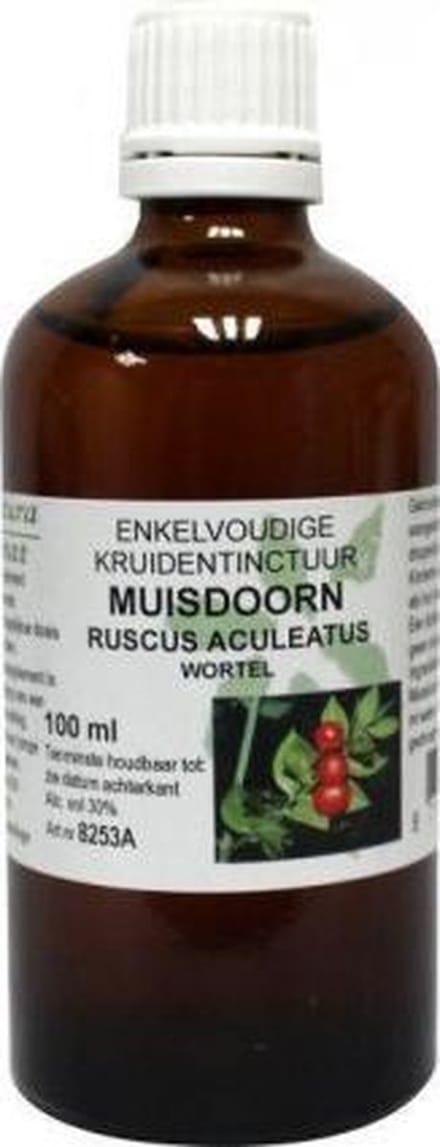 Ruscus Aculeatus Rad/Muisdoorn
