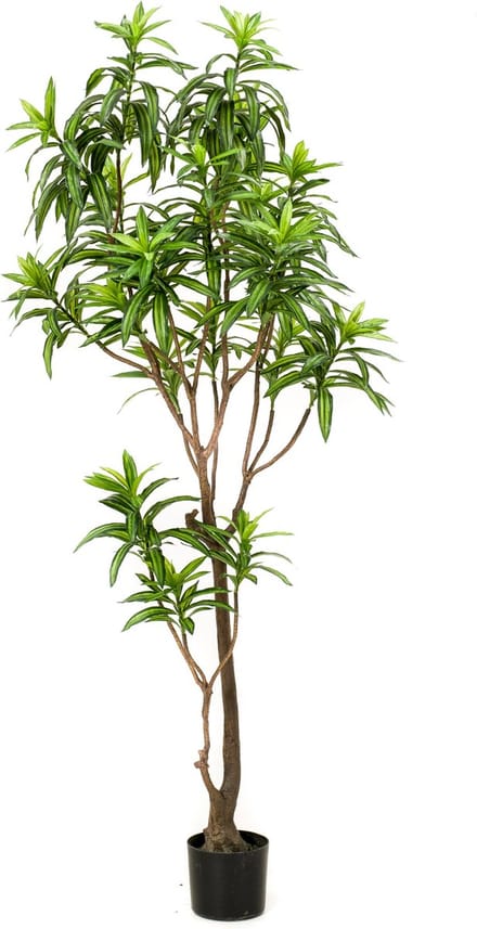 Emerald - Kunstboom Dracaena 190cm - Kunstplant voor binnen