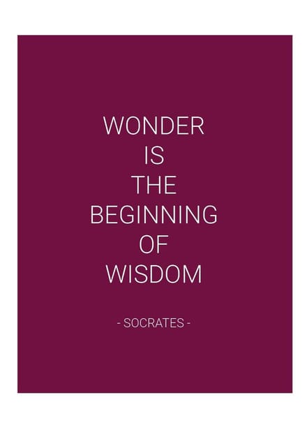 Planner - Softcover - Bordeauxrood - Quote - Socrates - Elastiek - Weekplanner - Werk - Studie - Structuur - Effectiviteit - Agenda