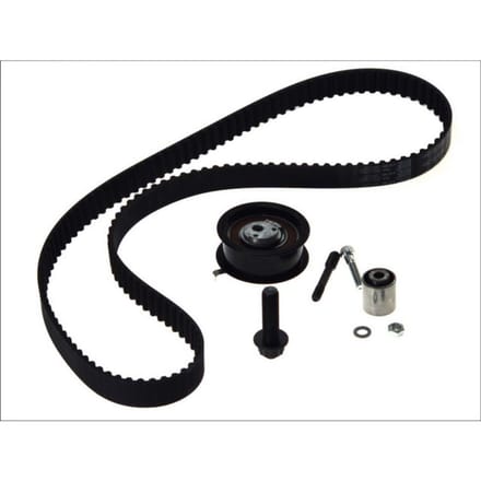 Distributieriemset SKF VKMA 01019